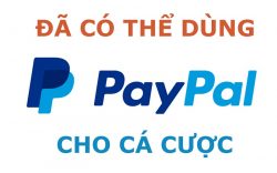 Các nhà cái chính thức cho phép cá độ bóng đá bằng Paypal