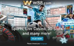 Giới thiệu về w88 cá cược thể thao – sân chơi mới