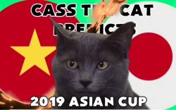Mèo Cass dự đoán trận đấu giữa Việt Nam và Nhật Bản tại tứ kết Asian Cup 2019
