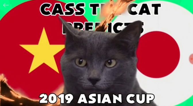 Mèo Cass dự đoán trận đấu giữa Việt Nam và Nhật Bản tại tứ kết Asian Cup 2019