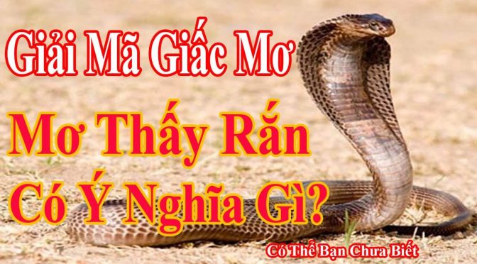 Mơ thấy rắn đánh con gì là chính xác nhất?