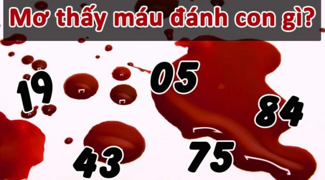 Mơ thấy máu đánh con gì? Máu là số mấy?