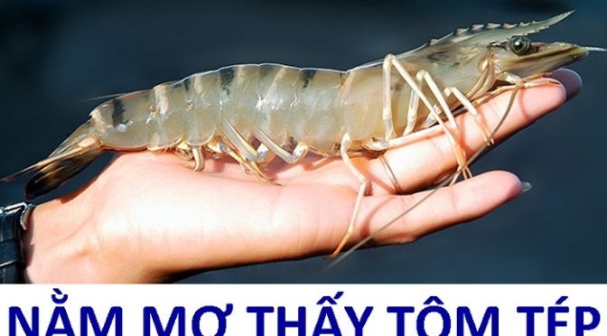 Nằm mơ thấy tôm nên đánh con số nào? Giải mã giấc mơ thấy tôm