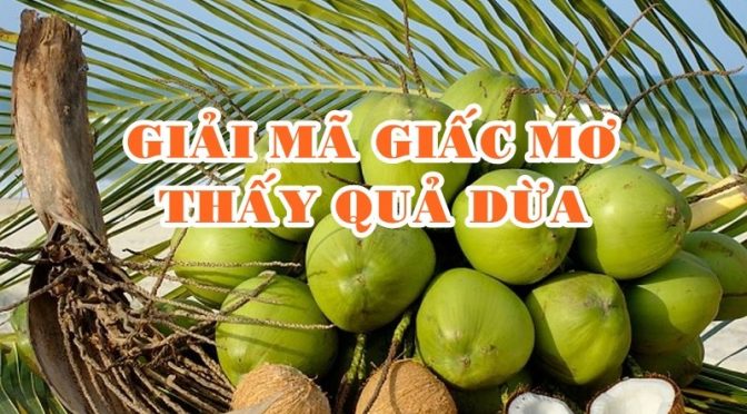 Nằm mơ thấy dừa đánh con gì? Giải mã giấc mơ thấy dừa