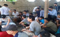 Nghệ An: Đột kích sới gà, bắt giữ 27 đối tượng