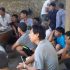 Công an đột kích vào sới gà “khủng” tại Nghệ An