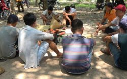 Tây Ninh: Triệt phá trường gà giữa rừng cao su