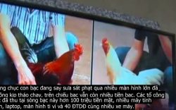 Bắt hàng chục đối tượng sát phạt tại trường gà online