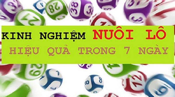 Bật mí kinh nghiệm nuôi lô bạch thủ khung 7 ngày chuẩn xác nhất