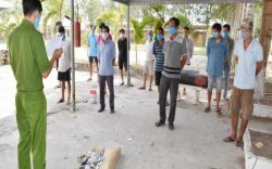 Công an huyện Lạc Dương triệt xóa trường đá gà trong rừng thông