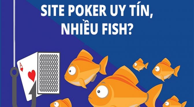 Tìm hiểu về Site poker nào uy tín nhất và nhiều fish kiếm ăn?