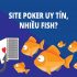 Tìm hiểu về Site poker nào uy tín nhất và nhiều fish kiếm ăn?
