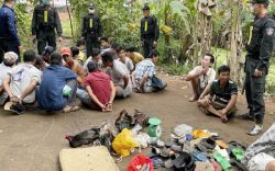 Cảnh sát bắt giữ 25 người tham gia cá độ đá gà