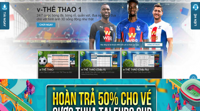 Nhận hoàn trả 50% cho vé cược thua Euro Cup tại W88