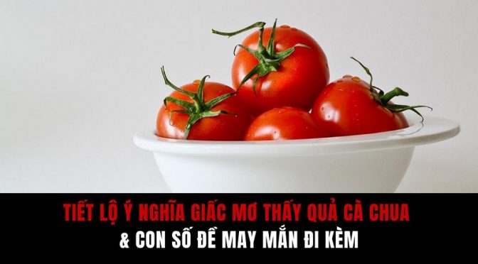 Mơ thấy Cà Chua điềm báo điều gì? Giãi mã giấc mơ thấy Cà Chua