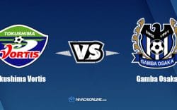 Nhận định kèo nhà cái hb88: Tips bóng đá Tokushima Vortis vs Gamba Osaka, 17h00 ngày 9/8/2021