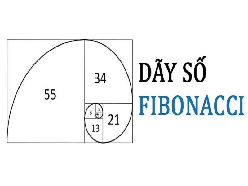 Nguyên lý Fibonacci là gì? Cách áp dụng chiến lược kiểm soát vốn cược
