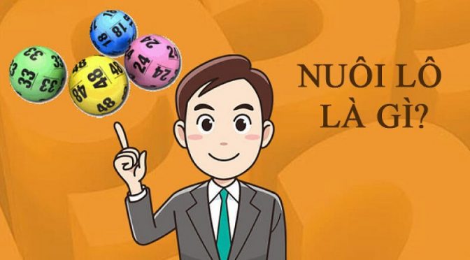 Nuôi lô tiếp sức là gì? Một số lưu ý trước khi nuôi lô tiếp sức