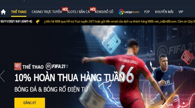 10% hoàn thua hàng tuần tại M88