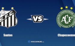 Nhận định kèo nhà cái W88: Tips bóng đá Santos vs Chapecoense, 5h ngày 18/11/2021