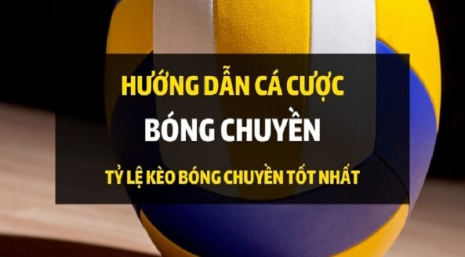 Cá cược bóng chuyền là gì? Luật cá cược bóng chuyền