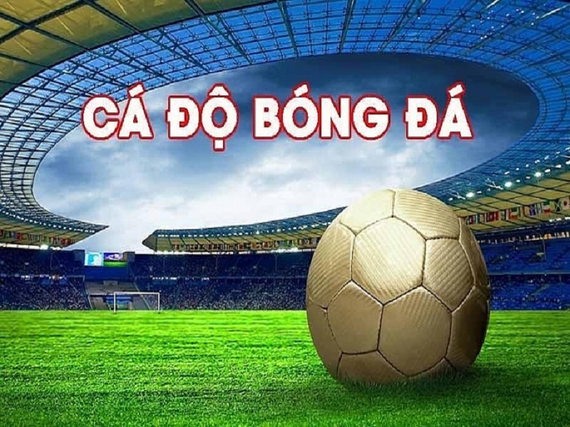 Các quy định của pháp luật về đặt cược thể thao tại Việt Nam