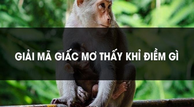 Mơ thấy khỉ đánh con gì? Giải mã những giấc mơ thấy khỉ