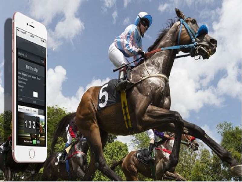Tổng hợp các loại vé cược đua ngựa trực tuyến phổ biến nhất hiện nay