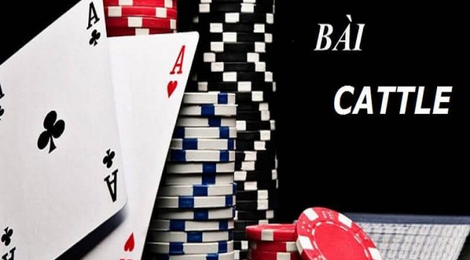 Tổng hợp những thuật ngữ game bài Catte cần nắm vững