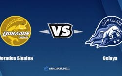Nhận định kèo nhà cái FB88: Tips bóng đá Dorados Sinaloa vs Celaya, 10h05 ngày 23/3/2022