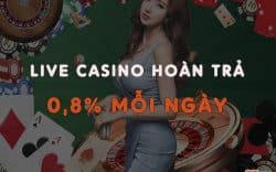 Live Casino hoàn trả 0,8% mỗi ngày chỉ có tại M88